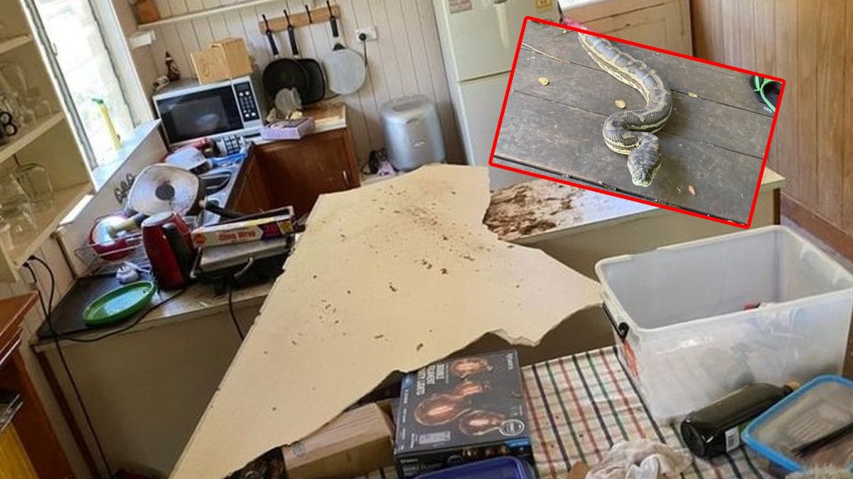 Mężczyzna przeżył szok