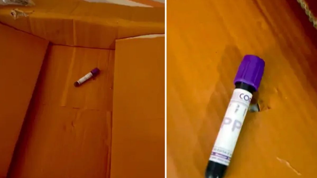 Jen Begakis zamówiła przez internet krzesło. Gdy paczka dotarła, była podejrzanie mała 