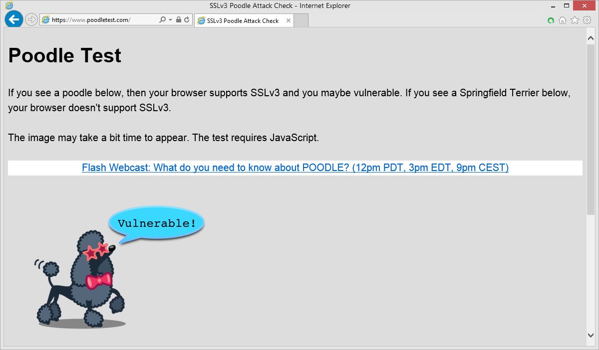 Internet Explorer 11 niestety nadal podatny na Pudla