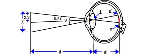 X/2= d×(tg θ/2) (źródło: National Health Foundation)