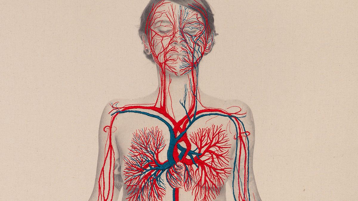 Przytłumione zdjęcia i hafty pokazują sieć połączeń w ludzkim ciele 1
