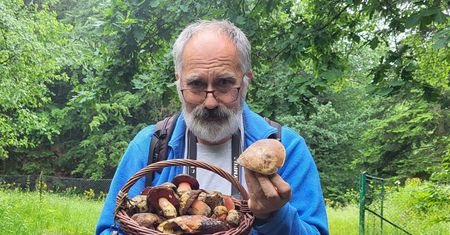 Anomalia w polskich lasach. "Trochę się martwię"