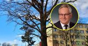 Radny PiS oburzony. Nie spodobało mu się żeńskie imię dębu