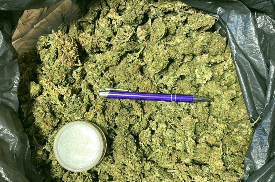 W mieszkaniu mężczyzny w Jaworznie policjanci znaleźli ponad pół kilograma marihuany.