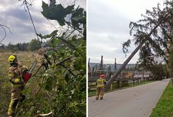 Huraganowy wiatr w Tatrach. Strażacy pokazują zniszczenia