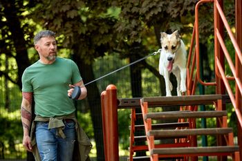 Łódź: Psie place zabaw. Zbudowano kolejne specjalne miejsce dla czworonogów