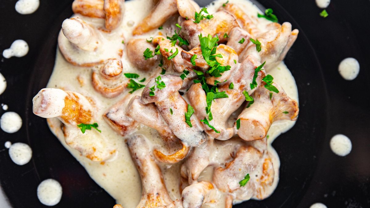 fresh chanterelle julienne mushroom cream sauce tasty meal food snack on the table copy space food
fresh chanterelle julienne mushroom cream sauce tasty meal food snack on the table copy space food background rustic top view
a-lesa