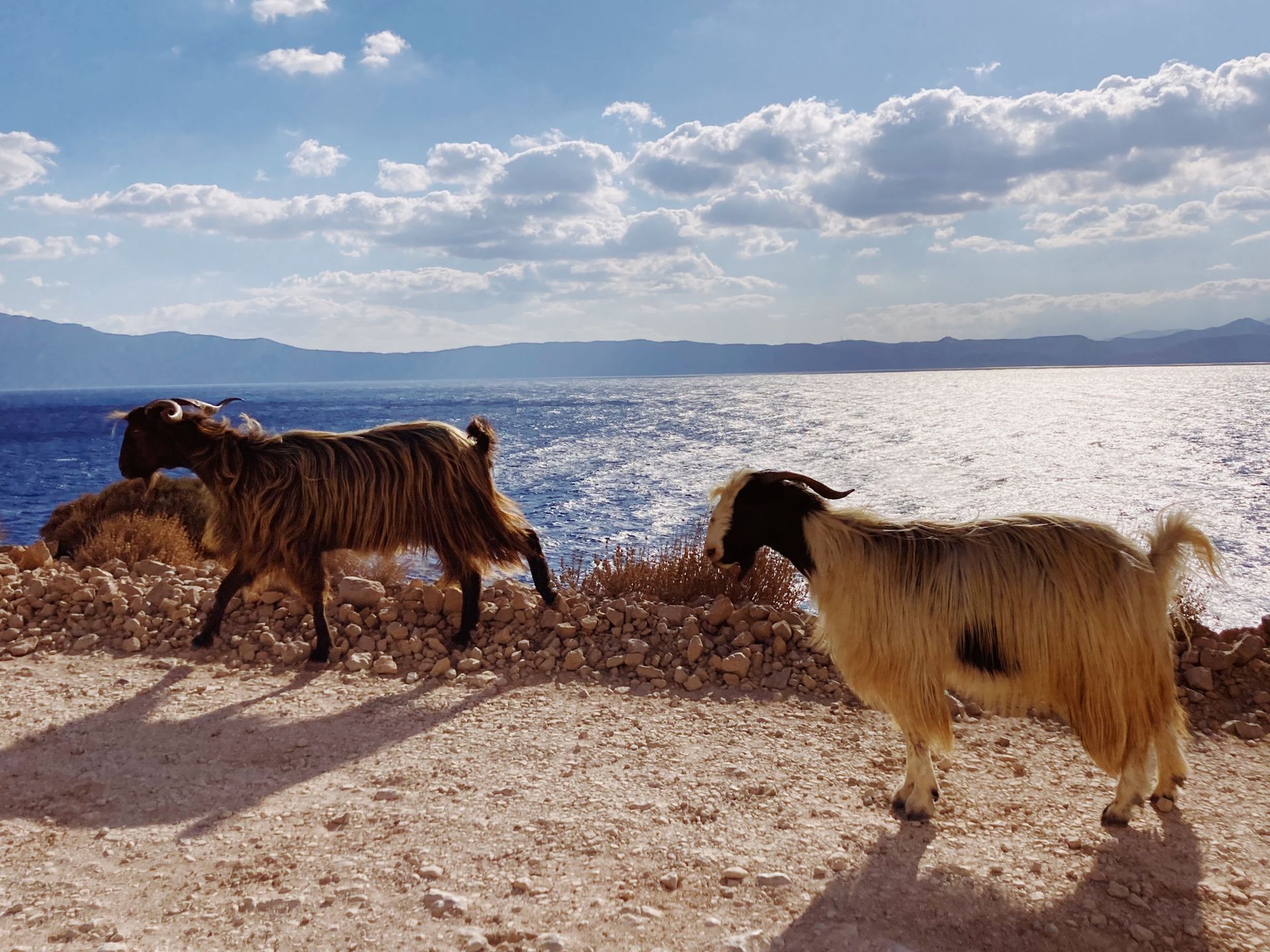 Kozy w drodze na Balos