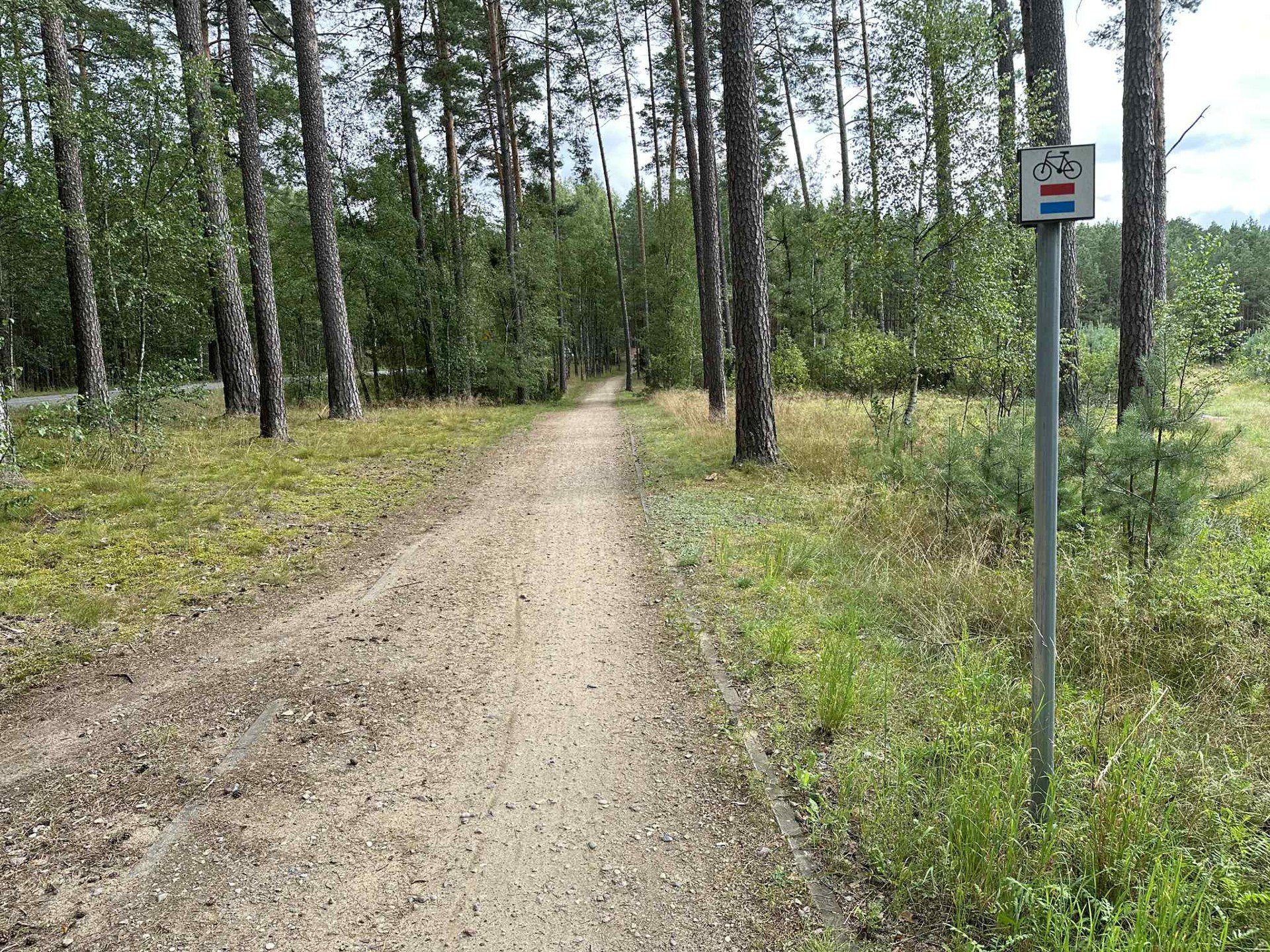 Piękne Bory Tucholskie. Czerwony szlak rowerowy Kaszubskiej Marszruty