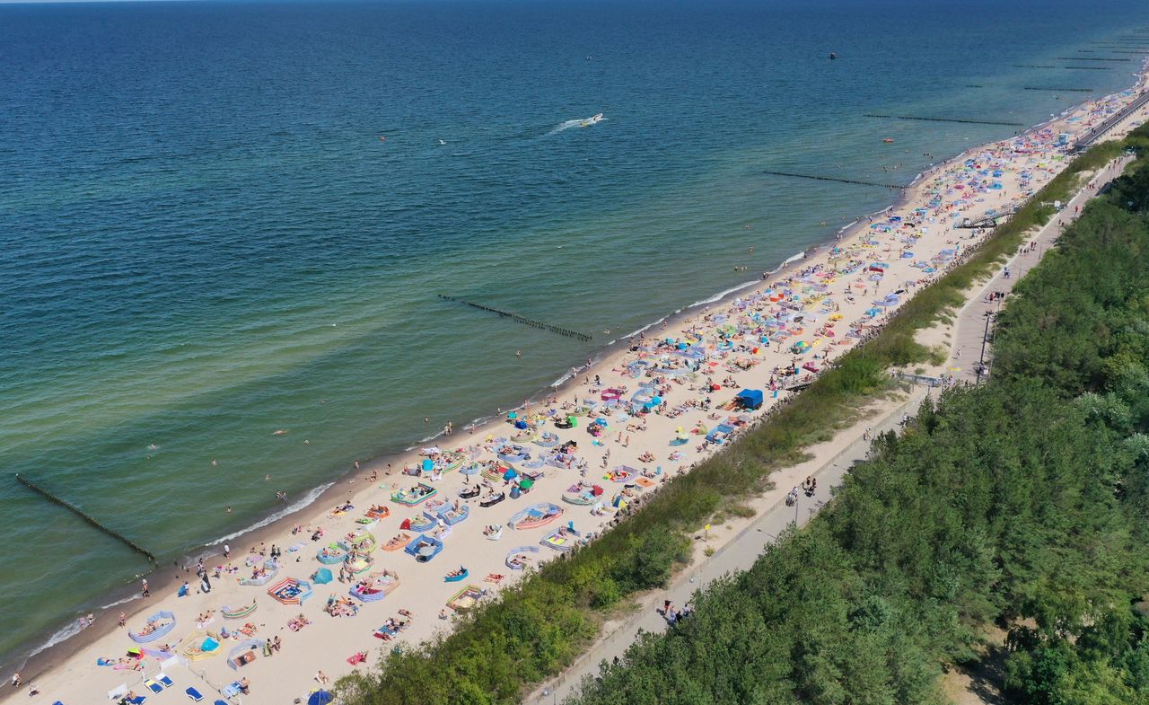 Miłosne igraszki nad Bałtykiem. Ratownik ujawnia. "Widziałem"