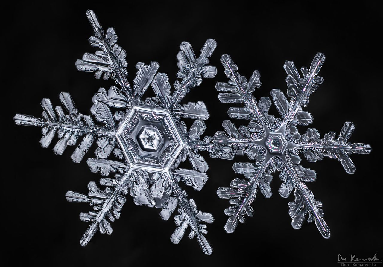 Piękno płatków śniegu uwiecznione przez Dona Komarechkę