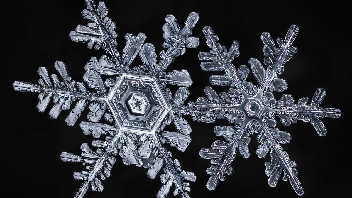 Piękno płatków śniegu uwiecznione przez Dona Komarechkę 1