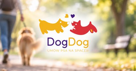DogDog - aplikacja dla każdego właściciela psa