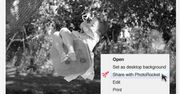 PhotoRocket, czyli jak podzielić się swoimi zdjęciami w Sieci w odrzutowym tempie