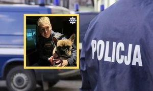 Ktoś przywiązał psa do drzewa. Zareagowali policjanci