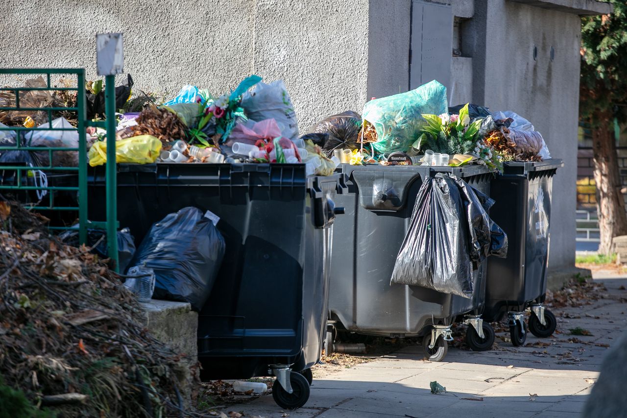 Niezapowiedziane kontrole w śmietnikach. Kary są wysokie