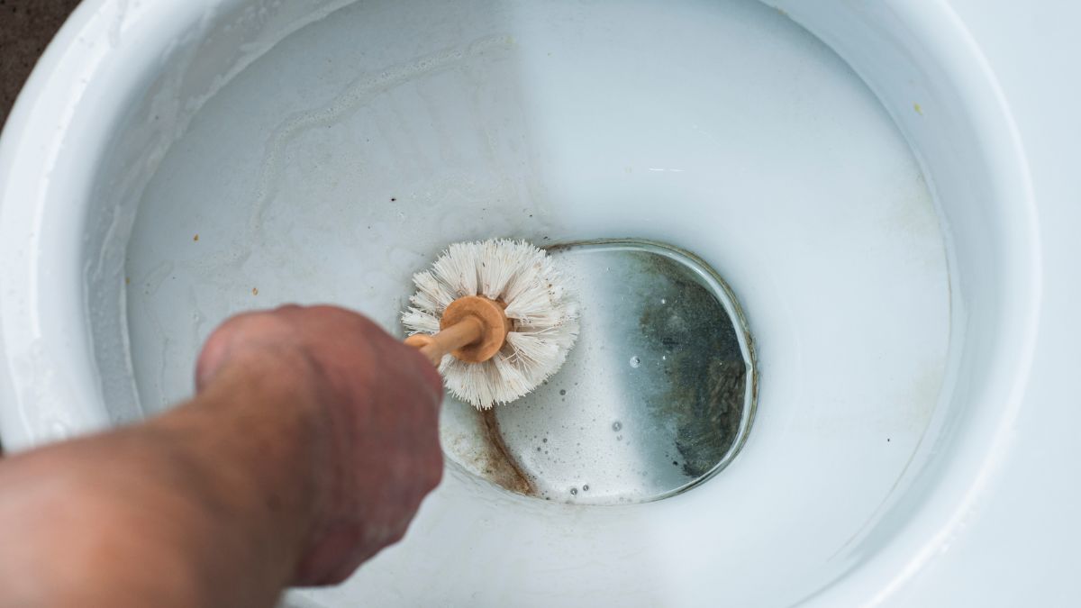 Czym myć toaletę?