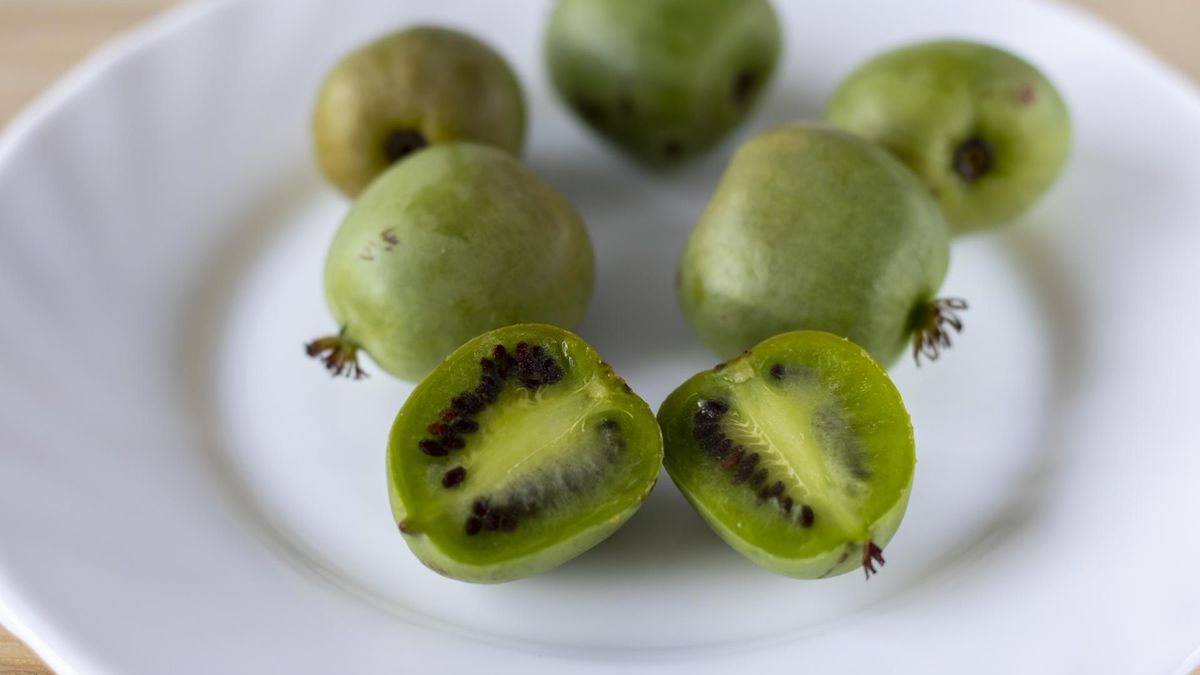 Superowoc prosto z Polski to prawdziwa skarbnica witamin. Chroni przed rakiem i cukrzycą