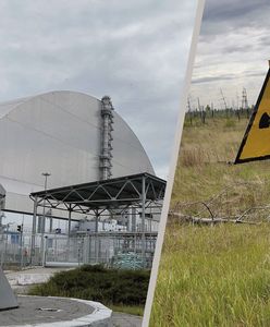 Zaskakujące "ślady" Rosjan w Czarnobylu. 100 litrów wódki od Putina