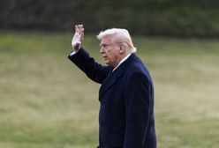 Trump "dyktatorem"? Wyniki sondażu w różnych krajach