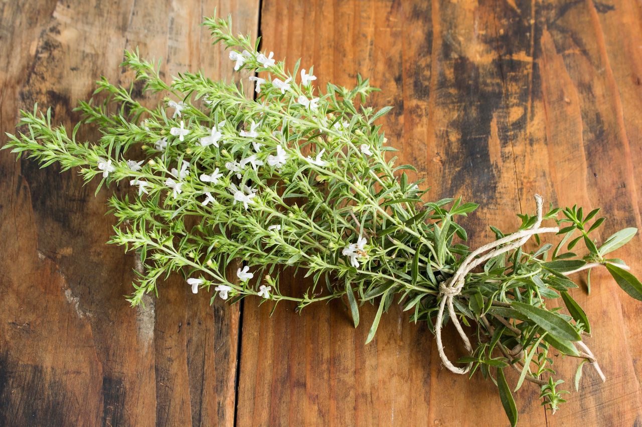 Kiedyś w kuchni każdej babci, a dziś zapomniany. To idealna przyprawa na jesień i zimę