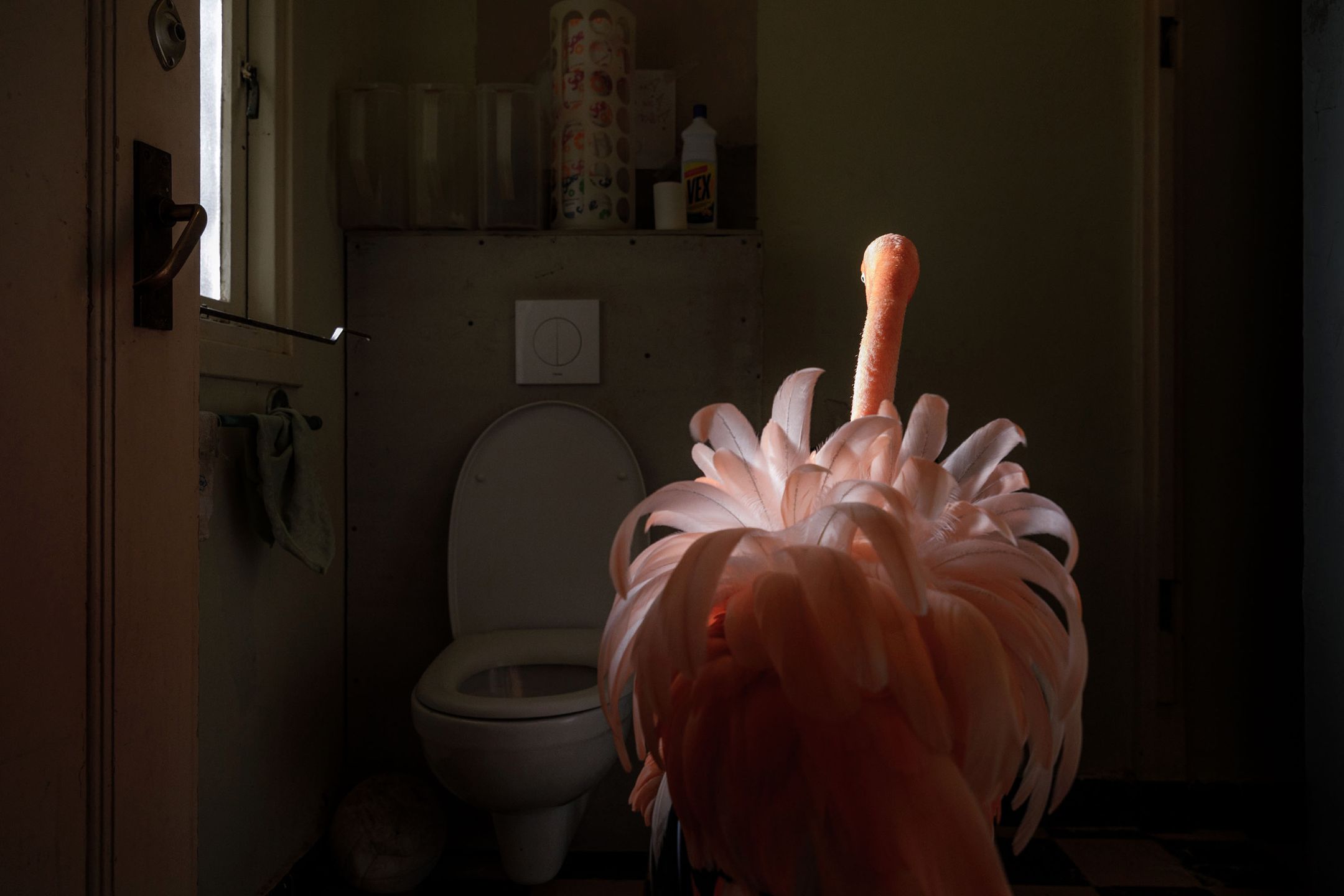 Kontrowersyjny materiał o samobójstwach wygrał Sony World Photography Awards 2019 113