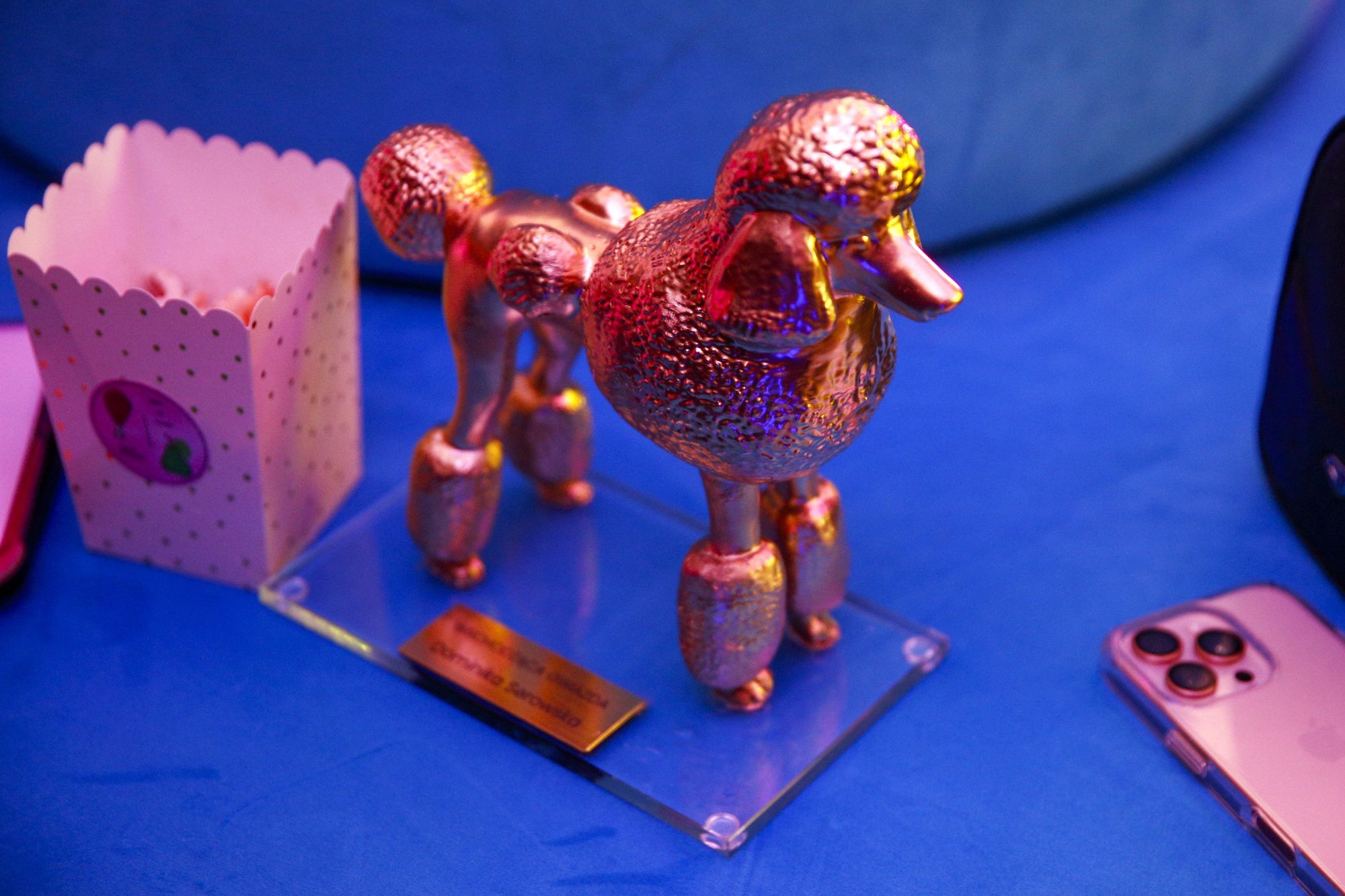 Statuetki rozdawane podczas Pudelek Pink Party