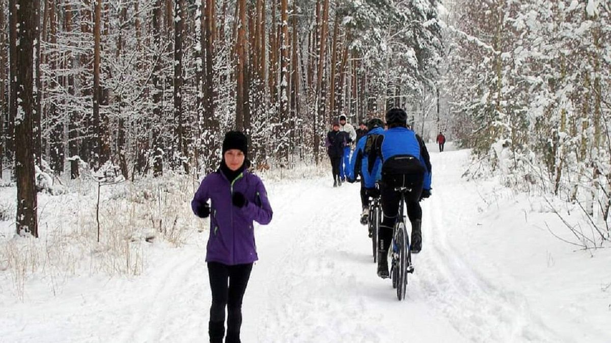 Leśnicy pokazali, co dzieje się w lasach. Jest reakcja