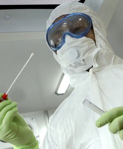 Coraz więcej zakażeń hantawirusem. Ognisko blisko polskiej granicy