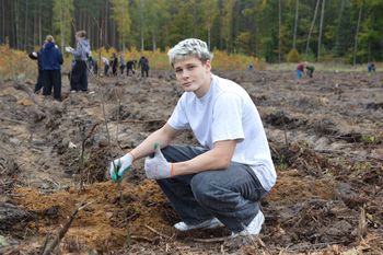 Bełchatów: Posadzili dwa tysiące drzewek miododajnych w Nadleśnictwie Bełchatów - w Szkółce Leśnej Borowiny