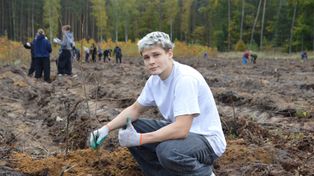 Bełchatów: Posadzili dwa tysiące drzewek miododajnych w Nadleśnictwie Bełchatów - w Szkółce Leśnej Borowiny