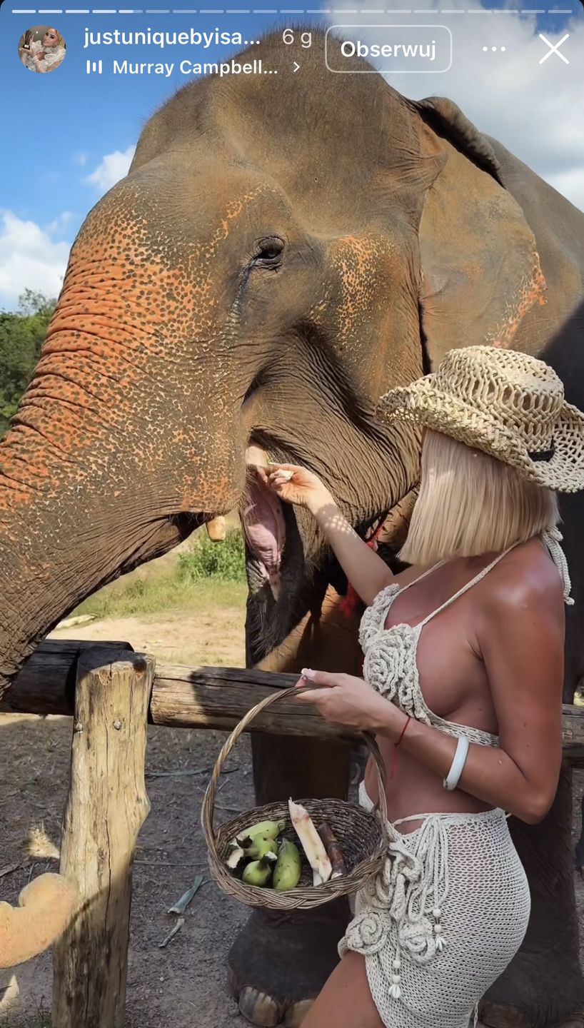 Izabela Macudzińska dokarmia słonie 
