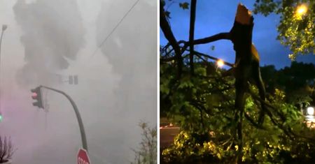 Zalane ulice i powalone drzewa. Potężna nawałnica w Berlinie