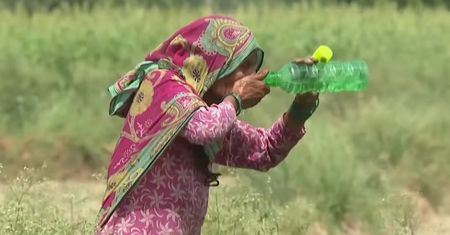 Zabójcza fala upałów w Indiach "Nigdy nie widziałem tak wysokiej liczby"