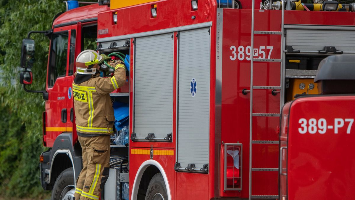 Szkolenie Combat Medic z gwardi? narodow? USAFot. Lukasz Gdak/East News, Wloszakowice (k. Leszna), 22.07.2023. Szkolenie z instruktorami gwardii narodowej stanu Illinois z zakresu COMBAT MEDIC, ktore zakonczylo cykl szkolen polskich terytorialsow z amerykanskimi zolnierzami. W cwiczeniu udzial wzieli zolnierze z roznych brygad WOT z terenu calego kraju.Lukasz Gdak