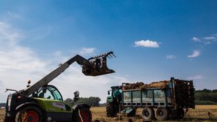 Obornik zimą? KRIR apeluje o elastyczny termin wywozu obornika 2025