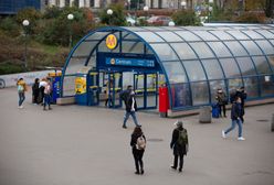 Spis powszechny. Co powinieneś wiedzieć?