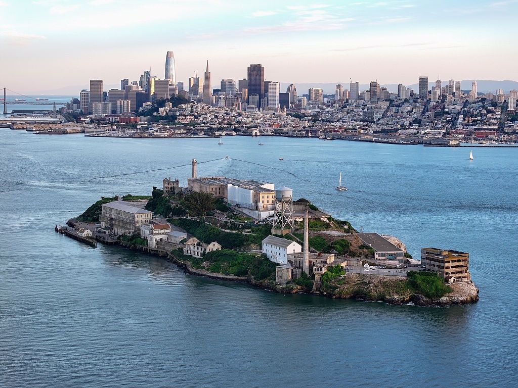 Odkrycie na Alcatraz. Biolodzy byli zdumieni