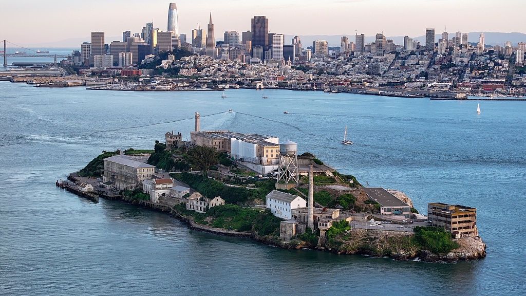 Kojot przepłynął 3 kilometry, by znaleźć się na Alcatraz