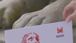 Jeden z symboli Płocka przejdzie renowację. Lwy wrócą za cztery miesiące