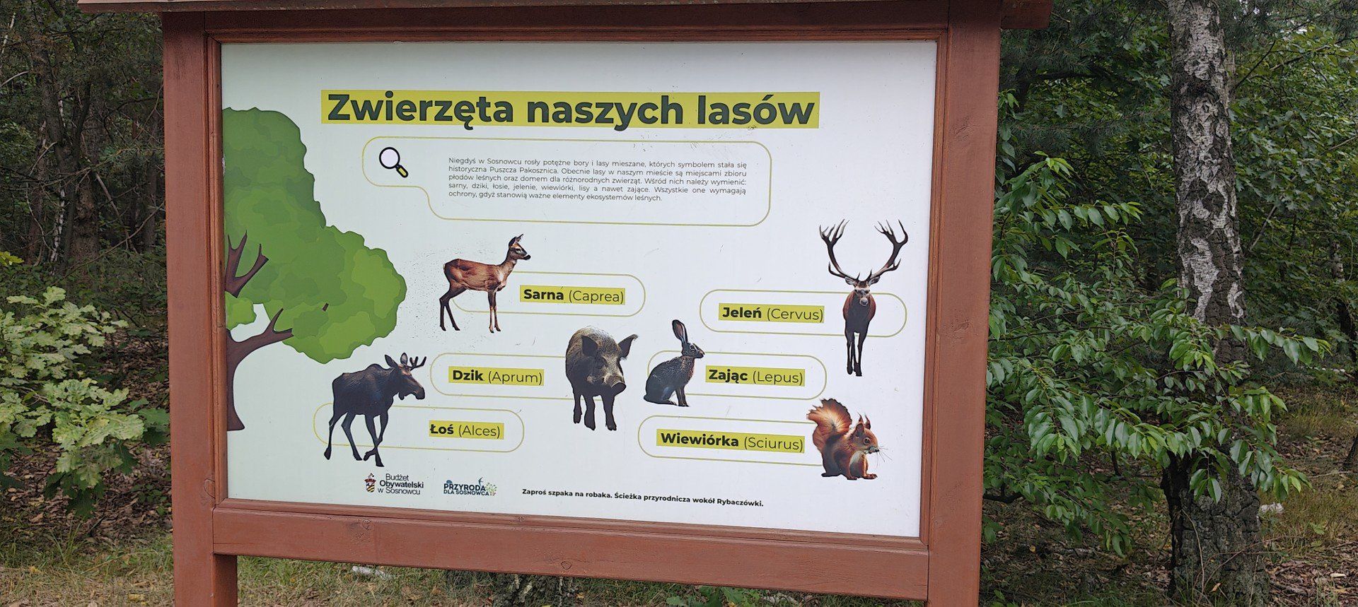 Kliknij strzałkę, aby przejść do następnych zdjęć!