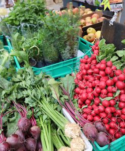 PiS-owska "spółka-widmo". Jeszcze większe straty na koniec 2024 roku