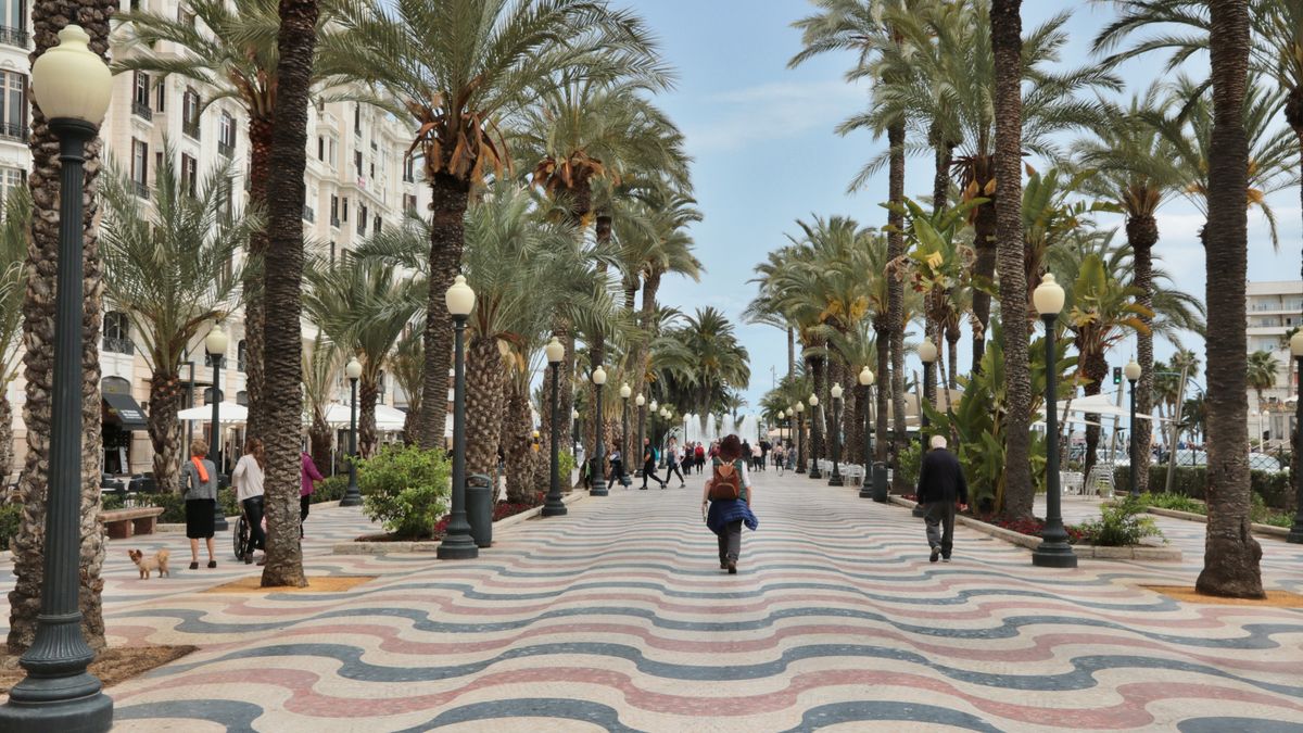 lungomare, alicante, pavimentazione, persone, alberi, palme, onde