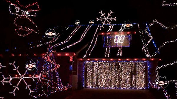 Wkurzone ptaki i świąteczne lampki [wideo] 1