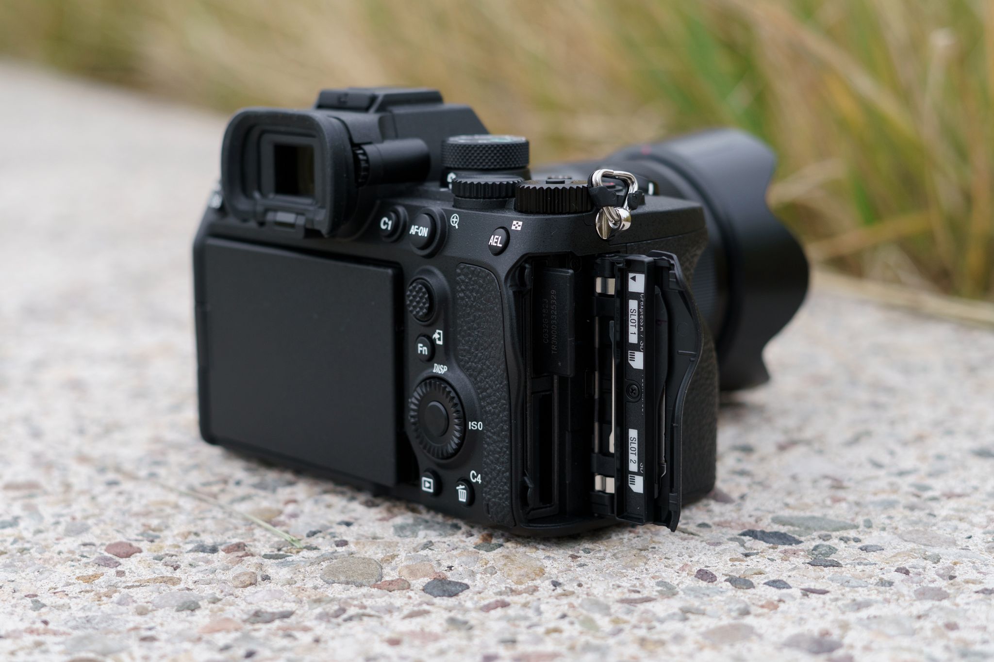 Sony A7 IV: Pierwsze wrażenia i zdjęcia przykładowe [TEST] 6