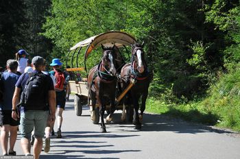 Decyzja ws. koni do Morskiego Oka