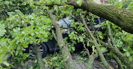 Alert RCB. W nocy silny wiatr do 100 km/h, możliwe przerwy w dostawach prądu
