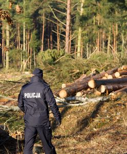 Środa Wielkopolska. Nie żyje policjantka jej i 9-letni syn. Najnowsze informacje