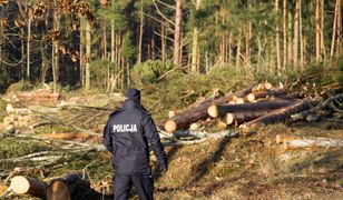 Środa Wielkopolska. Nie żyje policjantka jej i 9-letni syn. Najnowsze informacje