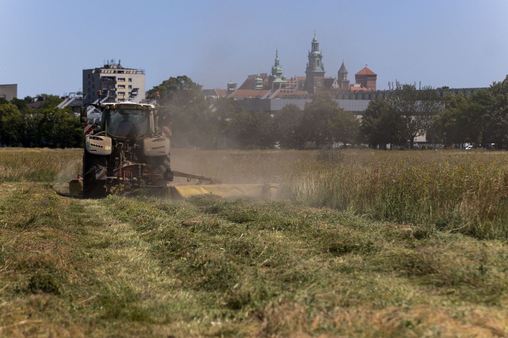 Sianokosy na błoniach w Krakowie